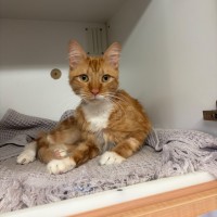 Photo of Frankie