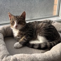 Photo of Normie 💙