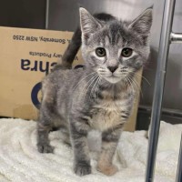 Photo of Vicki   Located In Pakenham