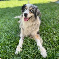 Photo of Mitzy 