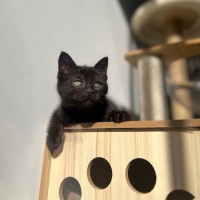 Photo of Ember ❤️‍🔥