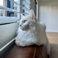 Photo of Dairy Queen