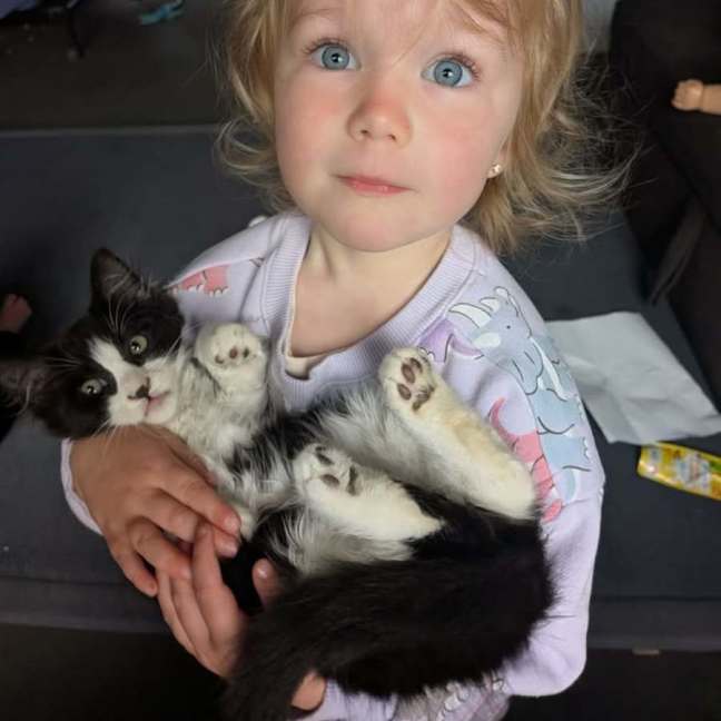Photo of Floof