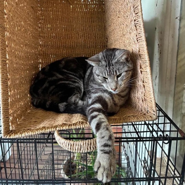 Photo of Leo