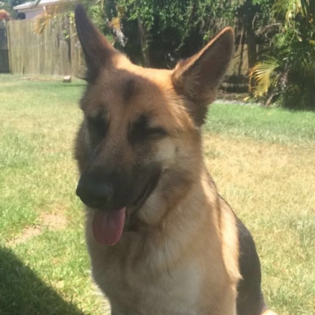 Photo of Deja 