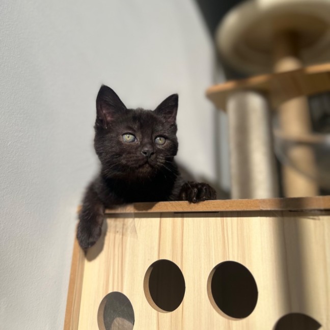 Photo of Ember ❤️‍🔥