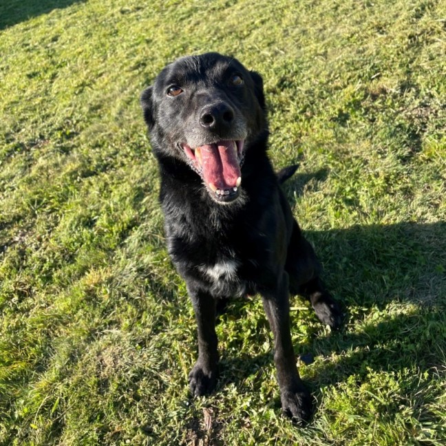 Photo of Jet