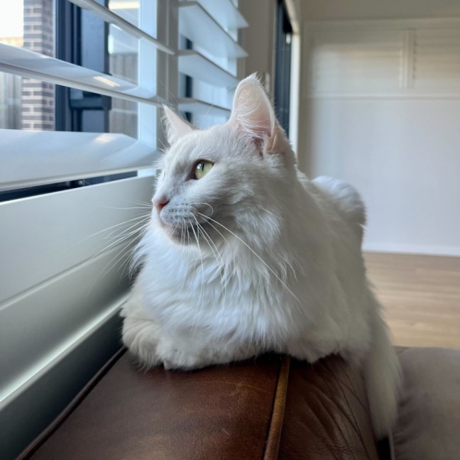 Photo of Dairy Queen