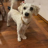 Photo of Beanie 