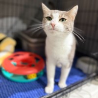 Photo of Mocha