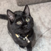 Photo of Riley