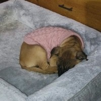 Photo of Athena