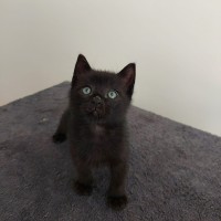 Photo of Ben