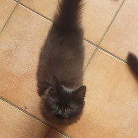 Photo of 💕 Ross Gellar 💕