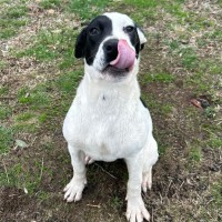 Photo of Ramona