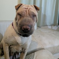 Photo of Maya