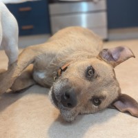 Photo of Fonzarelli