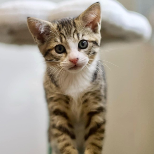 Photo of 😎 Simon 😎