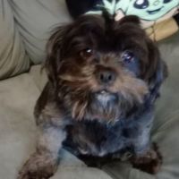 Photo of Bearboo And Melli