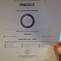 Photo of Fudge