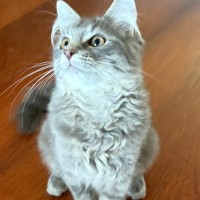 Photo of Londyn 😻💕💕😻