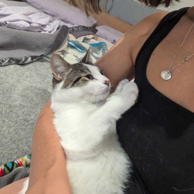 Photo of Blueberry   Super Friendly