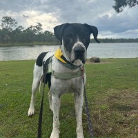 Photo of Clyde