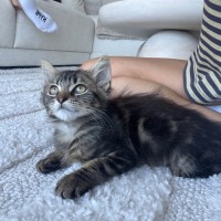 Photo of Dave & Dora