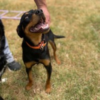 Photo of Maggie
