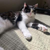 Photo of Eclipse