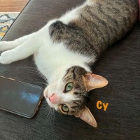 Photo of Darcy & Cy
