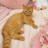 Photo of Oakley 