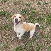 Photo of Enzo And Mia