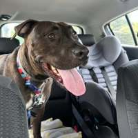 Photo of Rocket