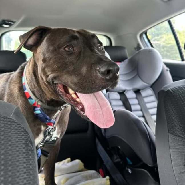 Photo of Rocket