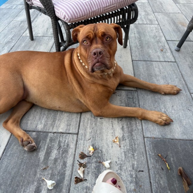Photo of Tia 