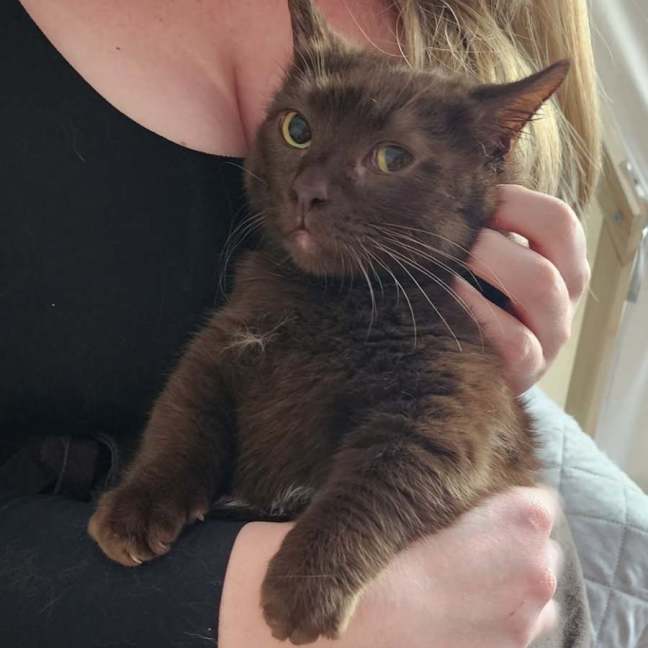 Photo of Trixx Aka Munchie