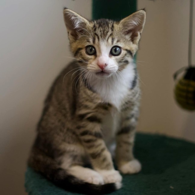 Photo of 😎 Simon 😎