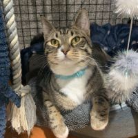 Photo of Sutton   Best Buds With Kevin   Check His Profile