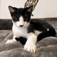 Photo of Zip