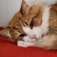 Photo of 🌵 Javier 6186 🌵