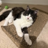 Photo of Milly 🌷🌷