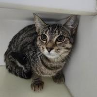 Photo of 🧨 Palmer 6919 🧨