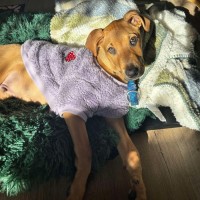Photo of Luckie