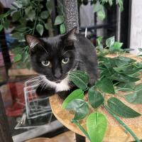 Photo of Stella 🌹