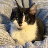 Photo of Willy Wobbla