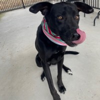 Photo of Lucy