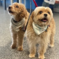 Photo of Ella & Oscar 