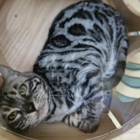 Photo of Tara And Fantasy 