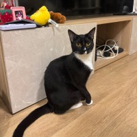 Photo of Pistachio